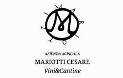 Cesare Mariotti logo