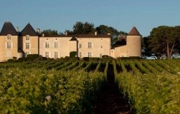 chateau d'Yquem sauternes 2015 vino dolce francia cantina panorama 