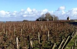 chateau latour cantina vini francia vigneti bourdeaux pauillac grand vin