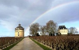 chateau latour cantina vini francia panorama