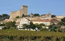 Chateauneuf du Pape 2015: un’annata tutta da scoprire