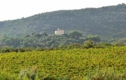 Chiesina di Lacona Isola d'Elba cantina
