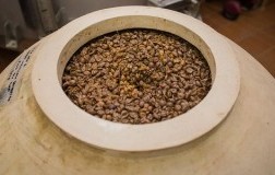 cocciopesto anteprima trebbiano spoletino