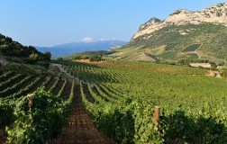Corsica Domaine Gentile