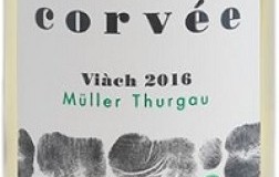 Corvee Trentino Müller Thurgau Viàch 2018