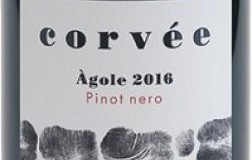 Corvee Trentino Pinot Nero Ágole 2016