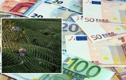 Gli alti costi di produzione del Prosecco Docg