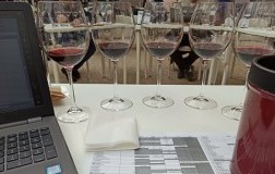 Degustazione benvenuto brunello off 2021