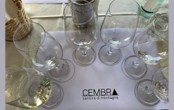 Degustazione Cembra Cantina di Montagna