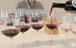 Degustazioni Morellino di Scansano Riserva 2017