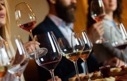 Didattica del vino