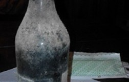 diletti vinsanto di brisighella