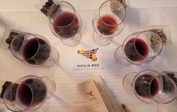 Discovery nero d'avola 2022