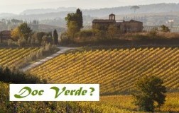 doc verdi - il vincolo biologico