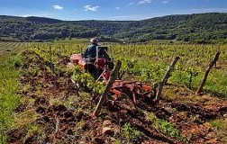 Domaine labet