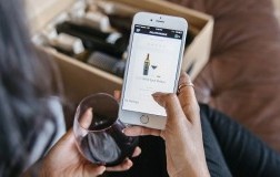 e-commerce vino