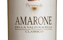 Eleva Amarone della Valpolicella Classico Piovesole