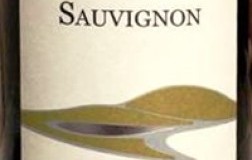 erste+neue alto adige sauvignon etichetta