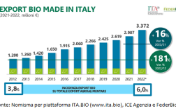 Export bio made in Italy