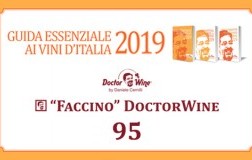 faccini 95/100 doctorwine Guida 2019