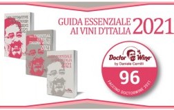 Faccino DoctorWine 2021 - 96/100
