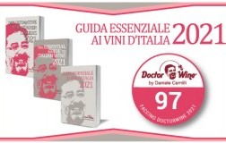 Faccino DoctorWine 2021 - 97/100