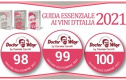 Faccino DoctorWine 2021 - 98/99/100