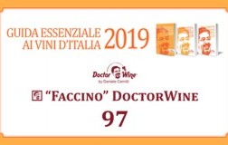 faccino doctorwine 2019 97/100