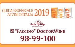 Faccino Doctorwine 2019 98-99-100