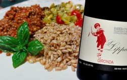 Farro lenticchie e zucchine con Barbera d’Asti La Lippa 2020 La Gironda