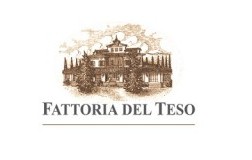 fattoria del teso cantina vini toscana logo doctorwine