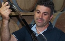 Artù Igt, sembra un Rosso Conero d'antan