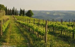 Un sussurro bianco dal cuore dell’Italia (1): Orvieto
