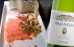 Filetti di aguglia e Marche Bianco Brianello Sauvignon Blanc 2022 Il Pollenza