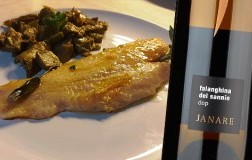 filetto gallinella e Janare La Guardiense