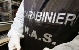 foto carabinieri nas
