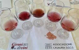 Gironi Divini degustazione