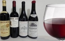 I 4 moschettieri di Langa vinogodi