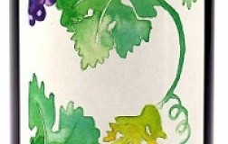 I Giusti e Zanza  Costa Toscana Belcore 2019