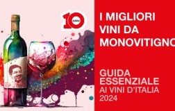 I Monovitigno Guida DW 2024