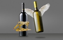i vini anoressici