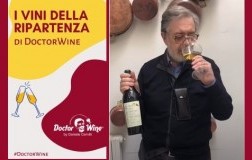 I vini della ripartenza DoctorWine