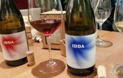 Idda vini dell'Etna joint venture Gaja Graci
