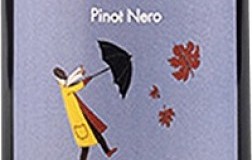 Il Rio Toscana Pinot Nero Ventisei 2019