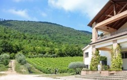 Il verro cantina vini campania
