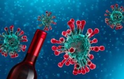 Il vino al tempo del coronavirus