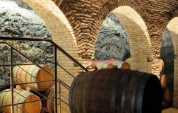 Basilisco Fontanelle, un cru nel Vulture