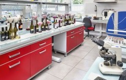 Problema acetaldeide lavoratorio analisi vino firmato doctorwine editoriale daniele cernilli