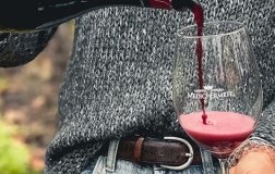 Lambrusco Reggiano