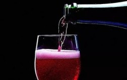 Lambrusco di Sorbara